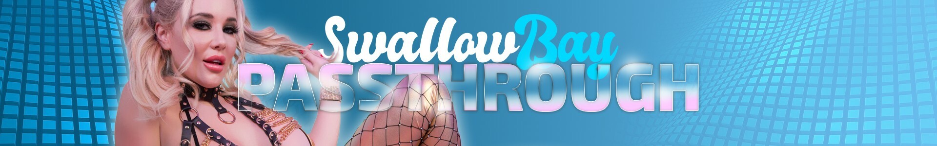 SwallowBay Passthrough Studio