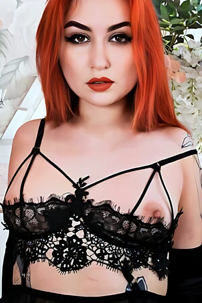Nicelittlefox