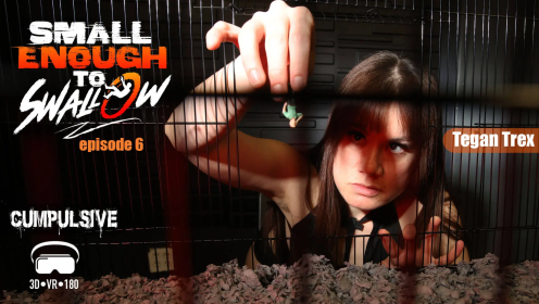 Small Enough to Swallow Episode 6 – Foot Fetish VR with Tegan Trex